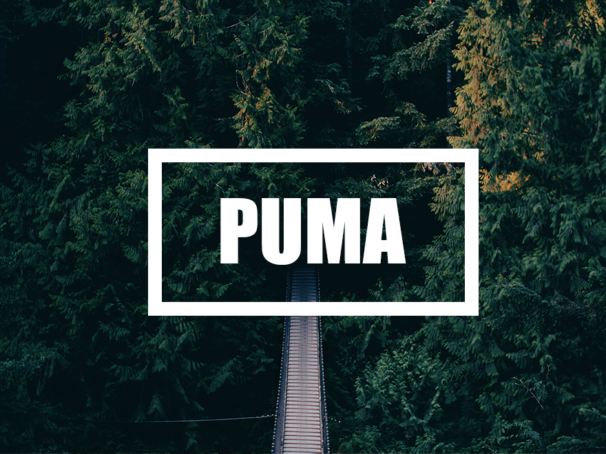 WordPress & Typecho同款博客单栏主题 – Puma v3.0.3